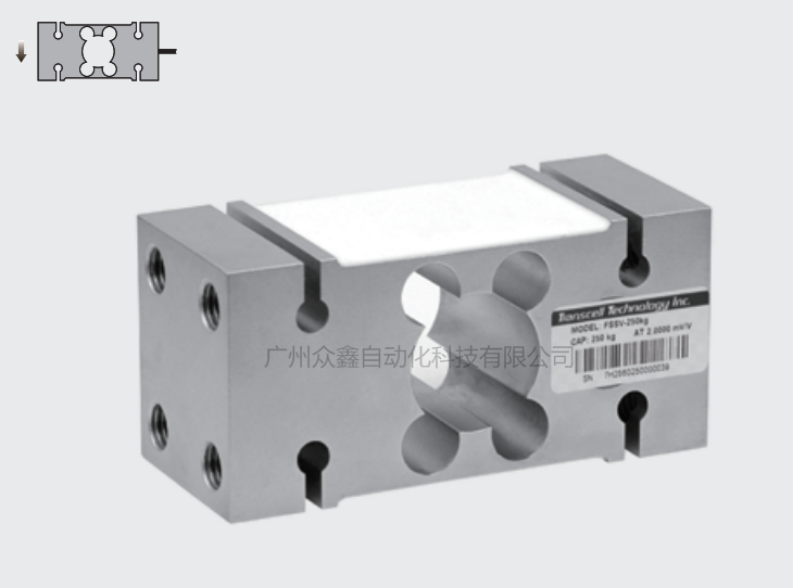 美国传力 FSSV-1000kg称重传感器图片